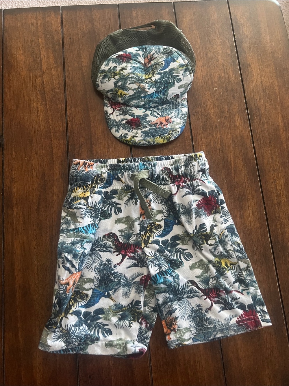 🎉🎉 5 for $20🎉🎉Tropical Dino Print Boys Shorts & Matching Cap - Multicolor